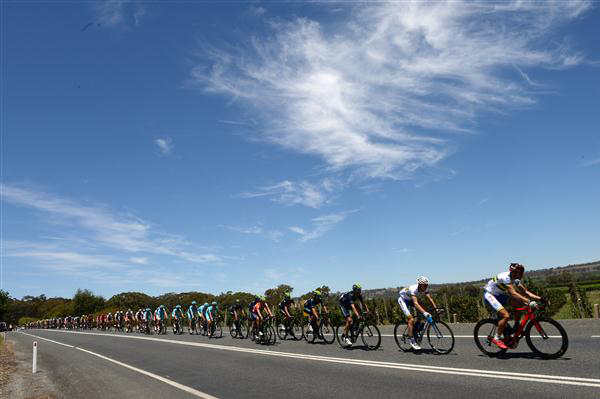 Racing under sunny skies